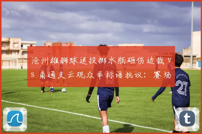 沧州雄狮球迷投掷水瓶砸伤边裁 vs 南通支云观众举标语抗议：赛场安保与球迷理性双重考验